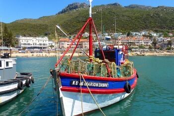 Traditional fishing boats, Cape Town, Western Cape