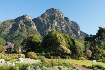 Kirstenbosch Botanical Gardens, Cape Town